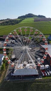 WhatsApp Image 2025-08-13 at 20.06.22 (5)